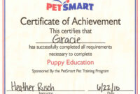 Amazing Gracie: Puppy School Graduation for Dog Training Certificate Template