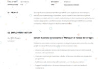 Business Development Manager Resume & Guide | 12 Templates | Pdf intended for Fascinating Business Management Resume Template