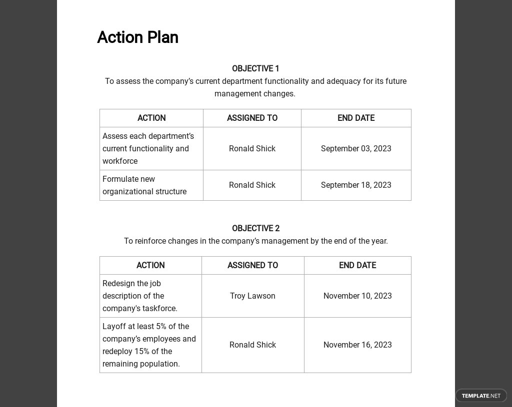 Change Management Action Plan Template - Word | Google Docs | Apple in It Change Management Template