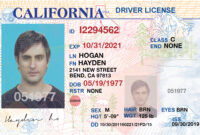Editable Blank Drivers License Template Free - Pic-Wabbit for Best Blank Drivers License Template