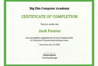 Free Computer Training Certificate Template - Word (Doc) | Psd for Certificate Template For Pages