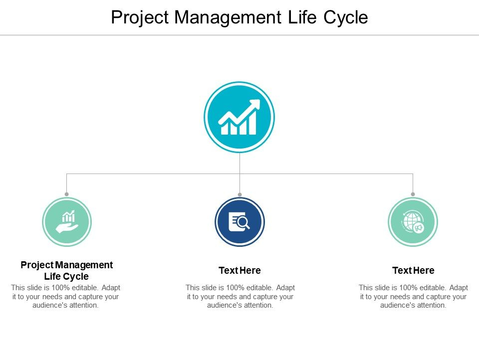 Project Management Life Cycle Ppt Powerpoint Presentation Infographic for New Life Cycle Management Plan Template