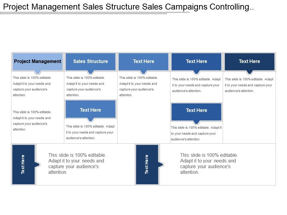 Project Management Sales Structure Sales Campaigns Controlling Tools intended for Free Sales Project Management Template