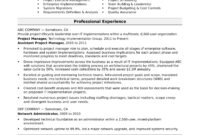 Sample Resume For A Midlevel It Project Manager | Monster within Business Management Resume Template