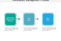 Vulnerability Management Process Ppt Powerpoint Presentation Show for Simple Patch Management Process Template