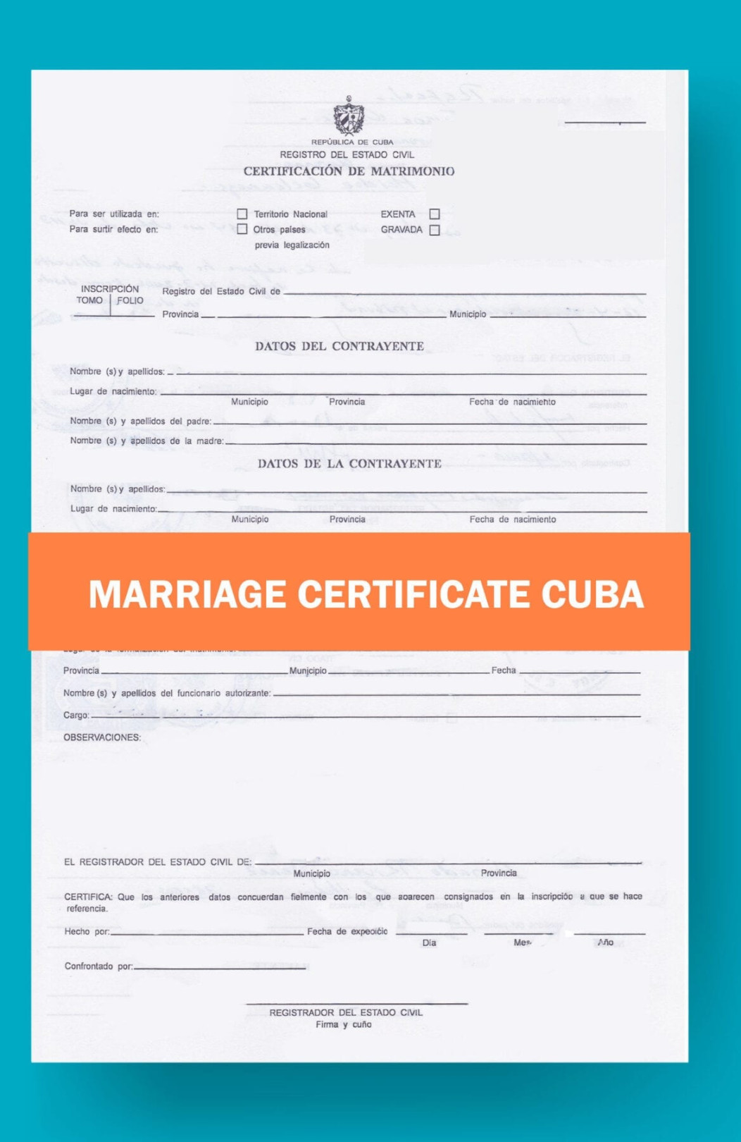 Marriage Certificate Translation $ pp delivery same day no extra