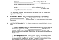 Cosigner Loan Agreement Template