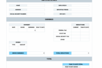 Blank Pay Stub Template For Professional Use