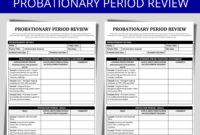 Probationary Period Performance Review Template