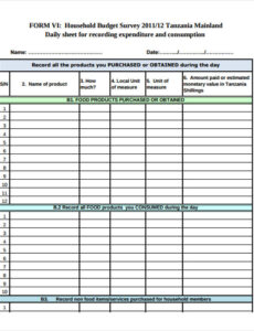 daily-budget-template