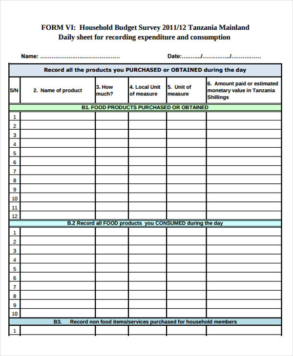 daily-budget-template